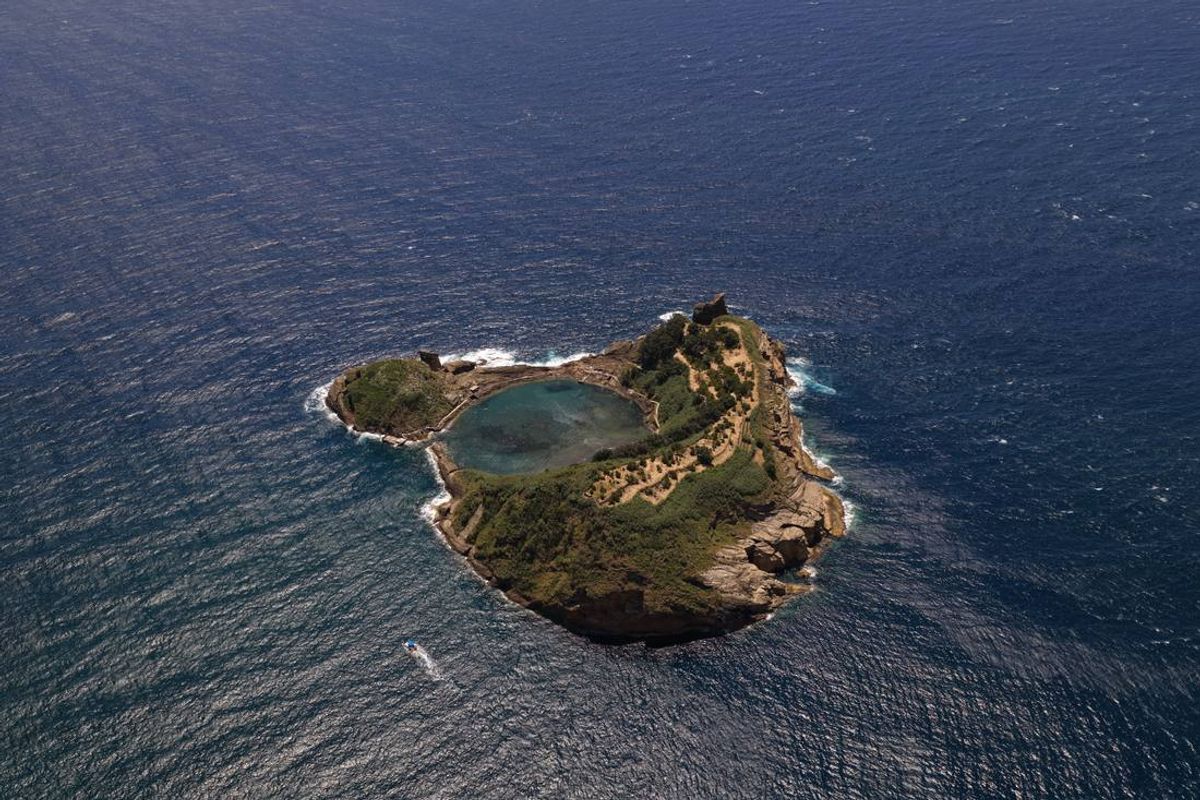 Whale watching in the Azores